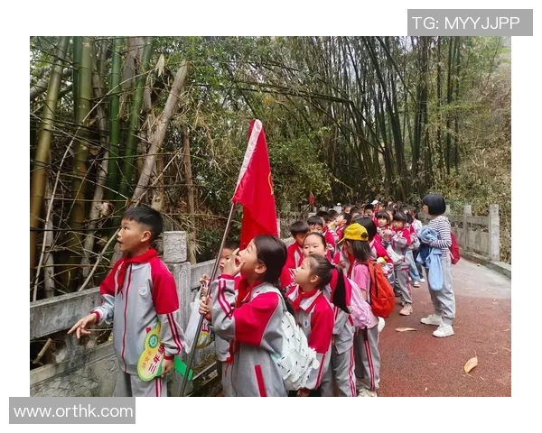 享受大自然的魅力，探索多样化户外活动带来的身心放松与挑战