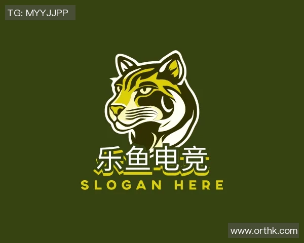 专访杨强:探寻篮球背后的成功秘诀与心路历程 专访杨强:探寻篮球背后的成功秘诀与心路历程