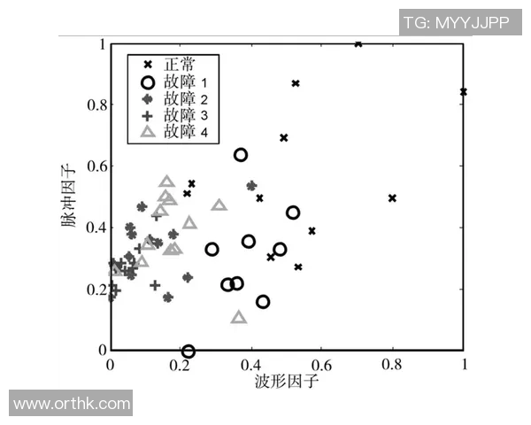 上海攀岩队协作表现分析及其对比赛成绩的影响研究