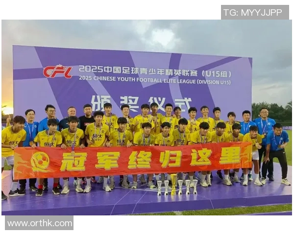 中国足球的骄傲国内十大足球明星的成长与成就解析