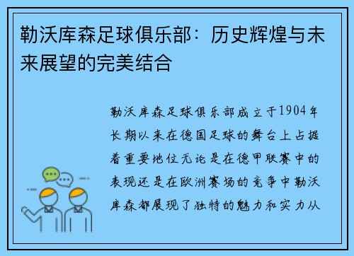 勒沃库森足球俱乐部:历史辉煌与未来展望的完美结合
